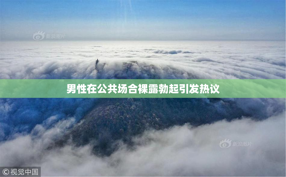 男性在公共场合裸露勃起引发热议