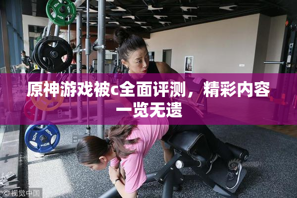 原神游戏被c全面评测，精彩内容一览无遗
