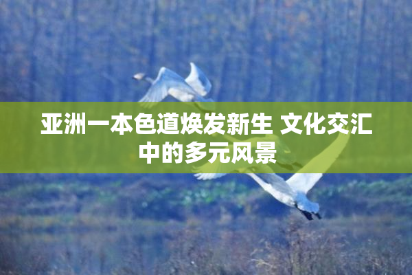 亚洲一本色道焕发新生 文化交汇中的多元风景