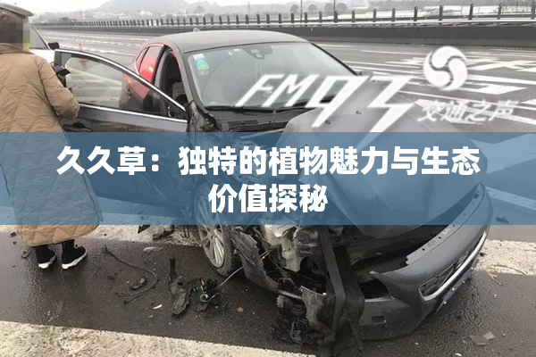 久久草：独特的植物魅力与生态价值探秘