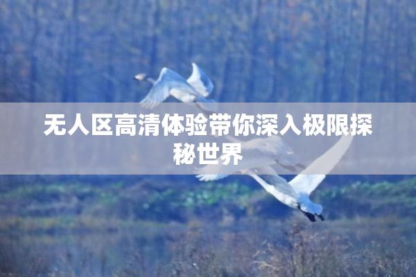 无人区高清体验带你深入极限探秘世界