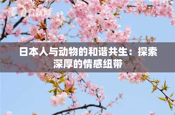 日本人与动物的和谐共生：探索深厚的情感纽带