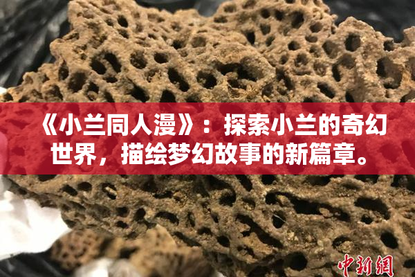 《小兰同人漫》：探索小兰的奇幻世界，描绘梦幻故事的新篇章。