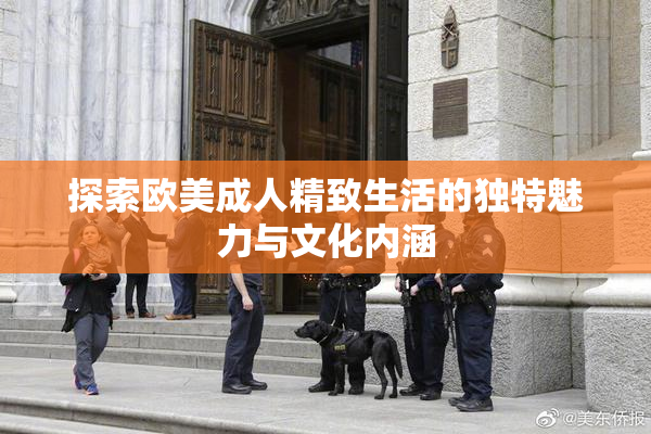 探索欧美成人精致生活的独特魅力与文化内涵