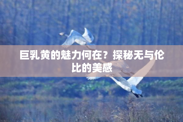 巨乳黄的魅力何在？探秘无与伦比的美感