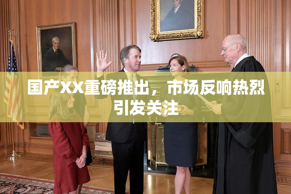 国产XX重磅推出，市场反响热烈引发关注