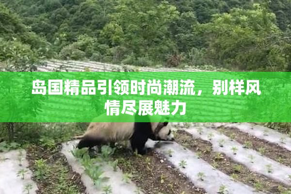 岛国精品引领时尚潮流，别样风情尽展魅力
