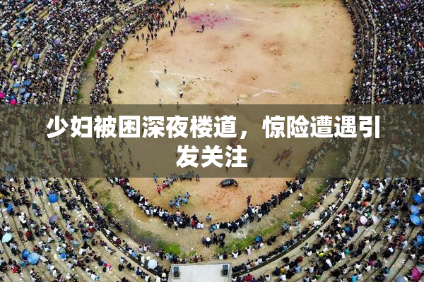 少妇被困深夜楼道，惊险遭遇引发关注