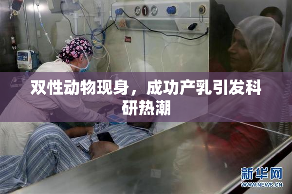 双性动物现身，成功产乳引发科研热潮