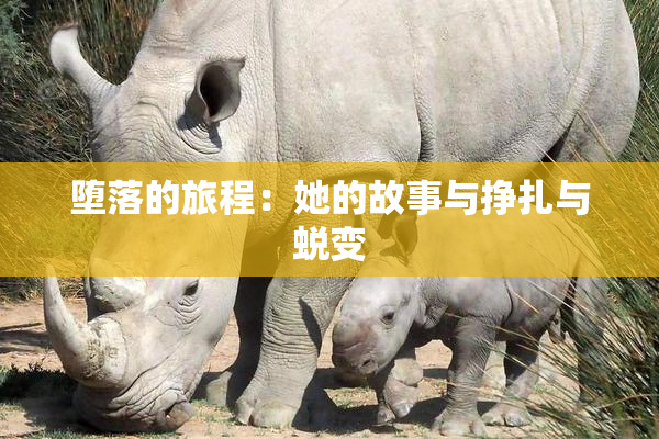 堕落的旅程：她的故事与挣扎与蜕变