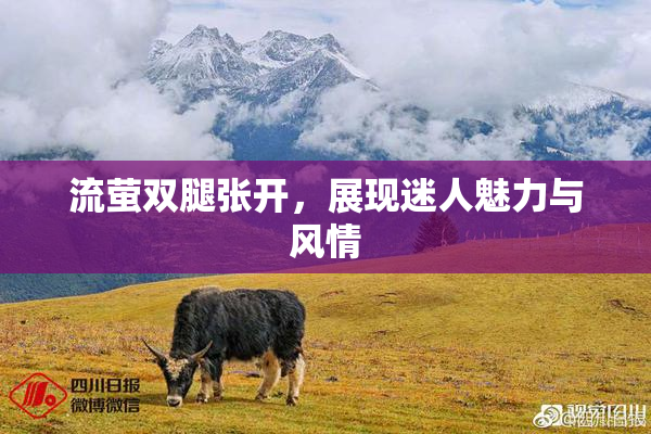 流萤双腿张开，展现迷人魅力与风情