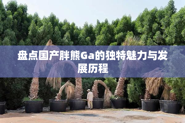 盘点国产胖熊Ga的独特魅力与发展历程