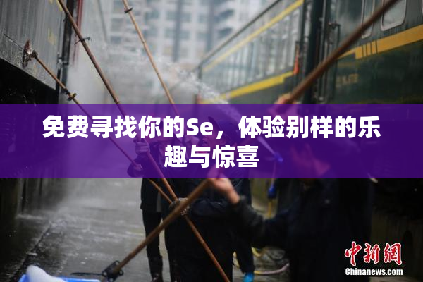 免费寻找你的Se，体验别样的乐趣与惊喜