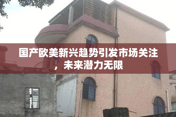 国产欧美新兴趋势引发市场关注，未来潜力无限