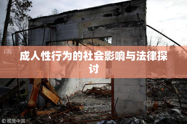 成人性行为的社会影响与法律探讨