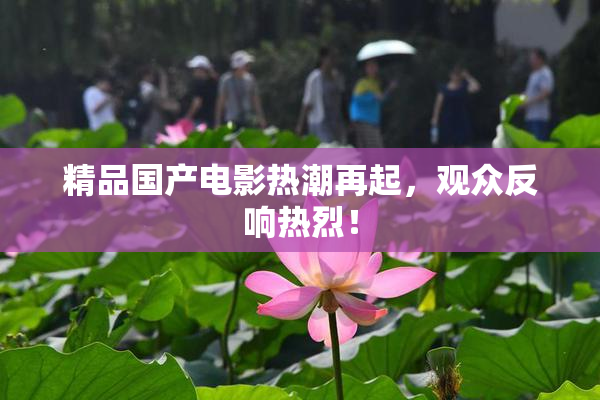 精品国产电影热潮再起，观众反响热烈！