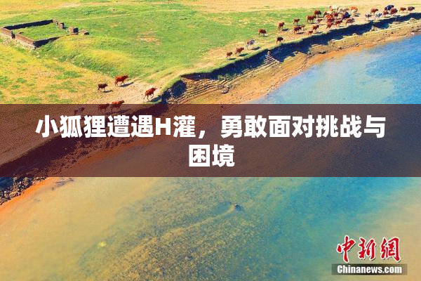 小狐狸遭遇H灌，勇敢面对挑战与困境