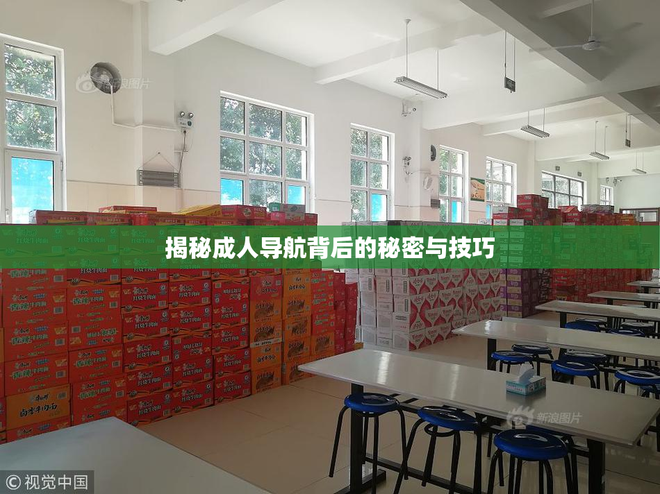 揭秘成人导航背后的秘密与技巧