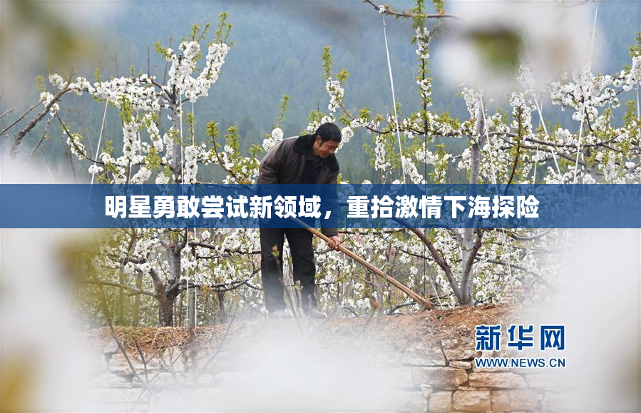 明星勇敢尝试新领域，重拾激情下海探险