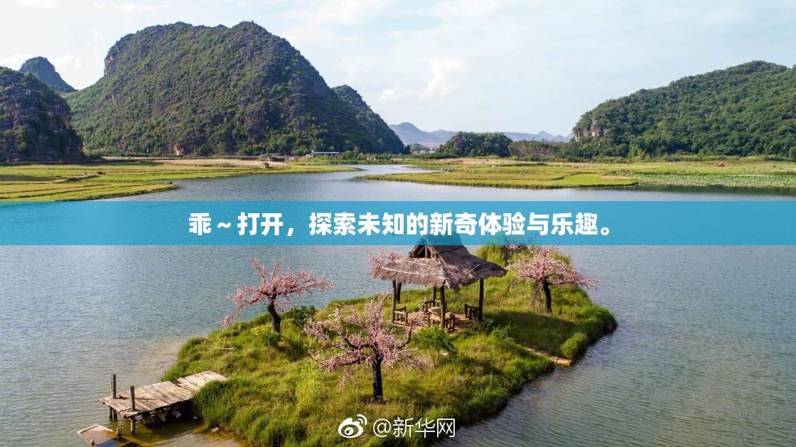 乖～打开，探索未知的新奇体验与乐趣。