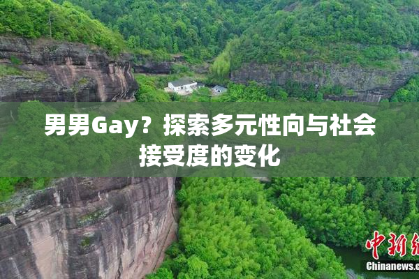 男男Gay？探索多元性向与社会接受度的变化
