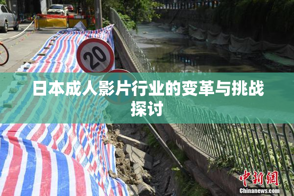 日本成人影片行业的变革与挑战探讨