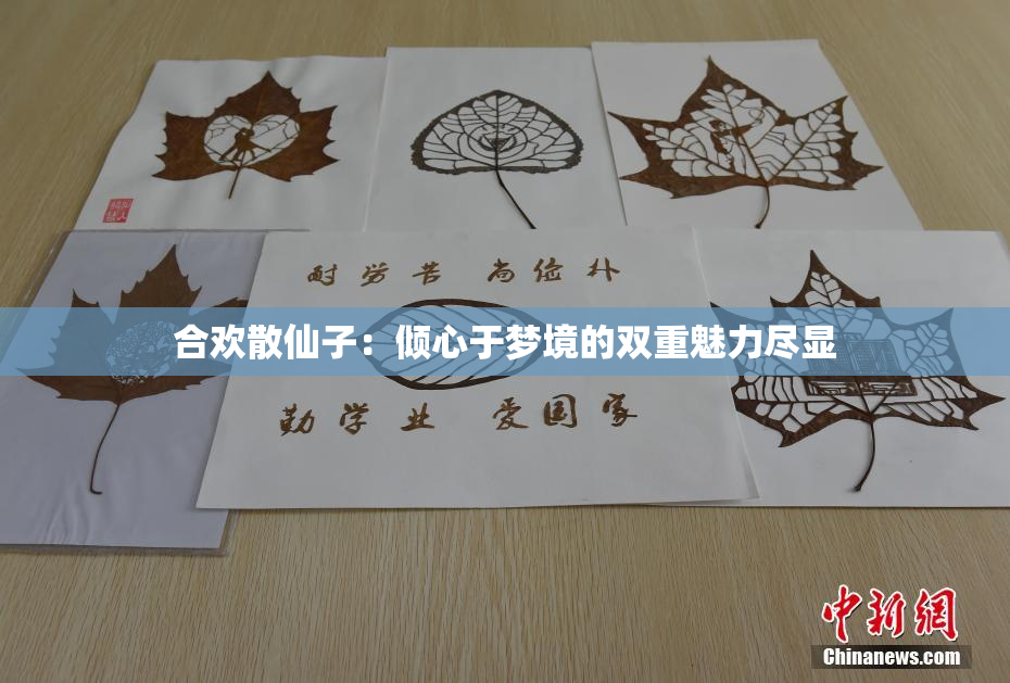 合欢散仙子：倾心于梦境的双重魅力尽显