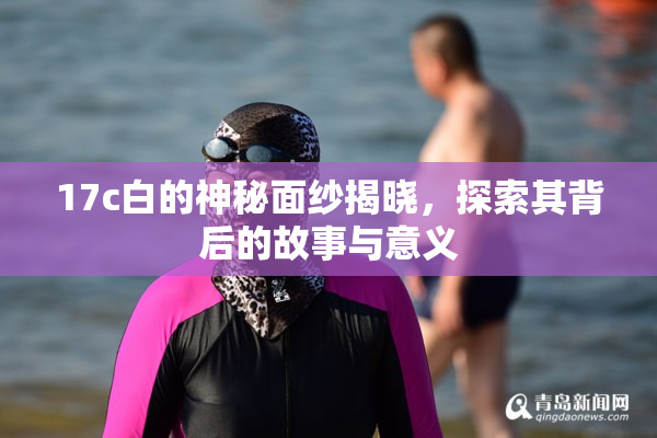 17c白的神秘面纱揭晓，探索其背后的故事与意义