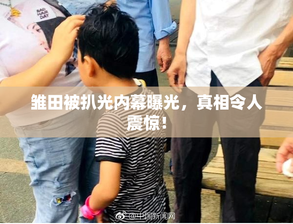 雏田被扒光内幕曝光，真相令人震惊！