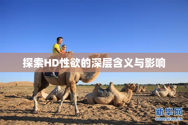 探索HD性欲的深层含义与影响