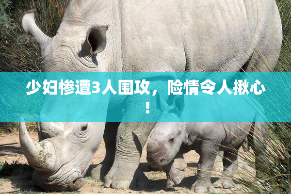 少妇惨遭3人围攻，险情令人揪心！