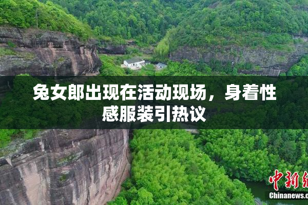 兔女郎出现在活动现场，身着性感服装引热议