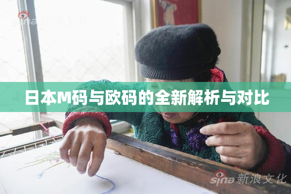 日本M码与欧码的全新解析与对比