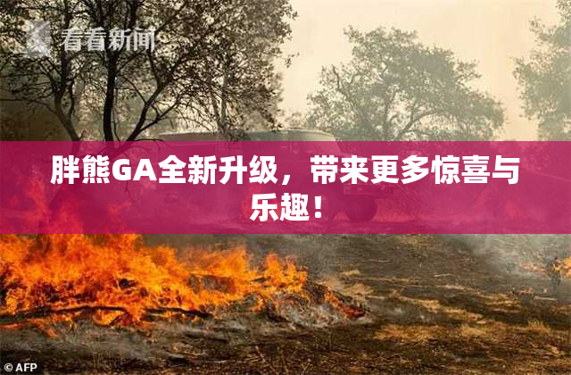 胖熊GA全新升级，带来更多惊喜与乐趣！