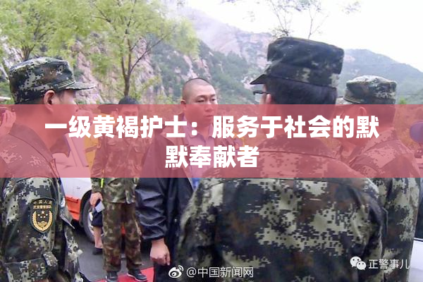 一级黄褐护士：服务于社会的默默奉献者