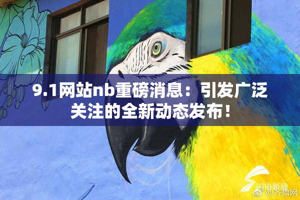 9.1网站nb重磅消息：引发广泛关注的全新动态发布！