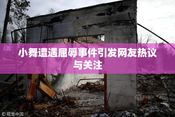 小舞遭遇屈辱事件引发网友热议与关注