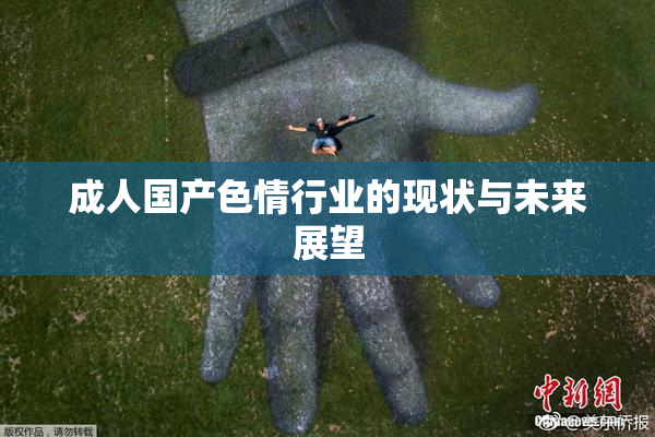 成人国产色情行业的现状与未来展望