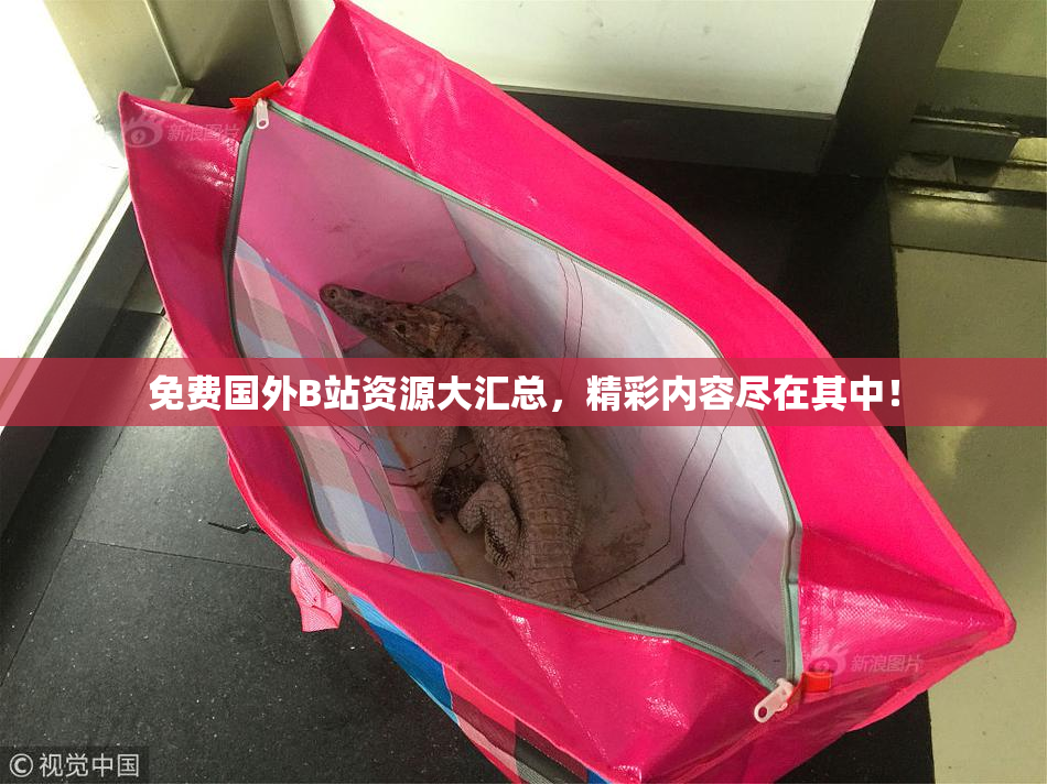 免费国外B站资源大汇总，精彩内容尽在其中！