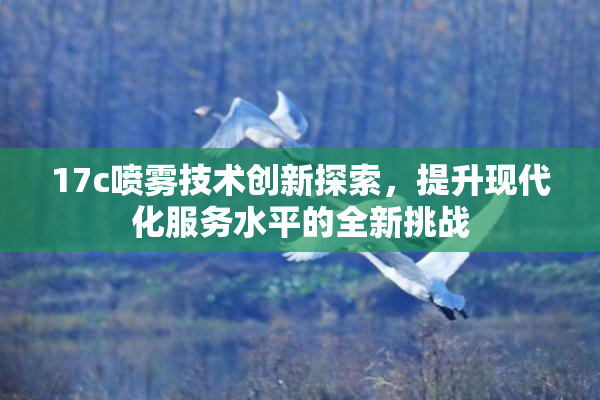 17c喷雾技术创新探索，提升现代化服务水平的全新挑战