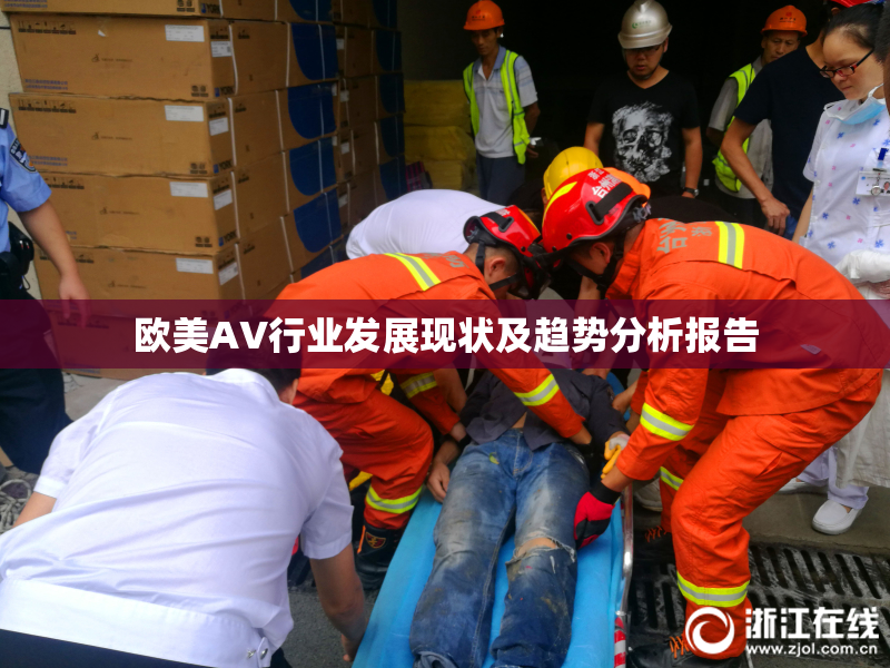 欧美AV行业发展现状及趋势分析报告