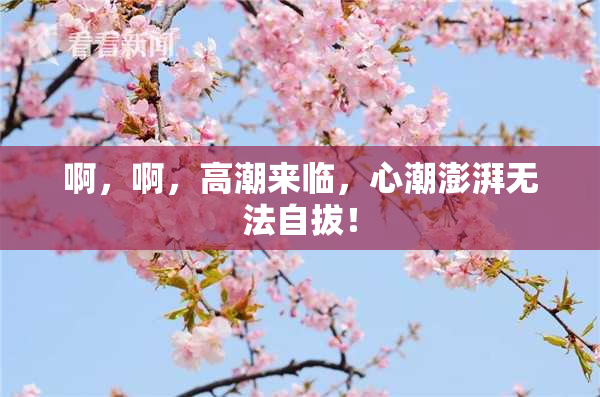 啊，啊，高潮来临，心潮澎湃无法自拔！