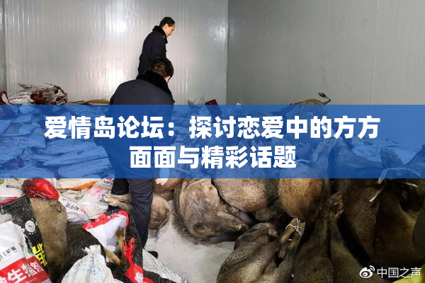 爱情岛论坛：探讨恋爱中的方方面面与精彩话题