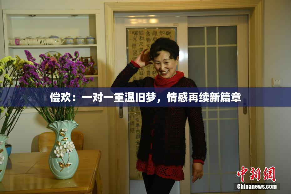 偿欢：一对一重温旧梦，情感再续新篇章