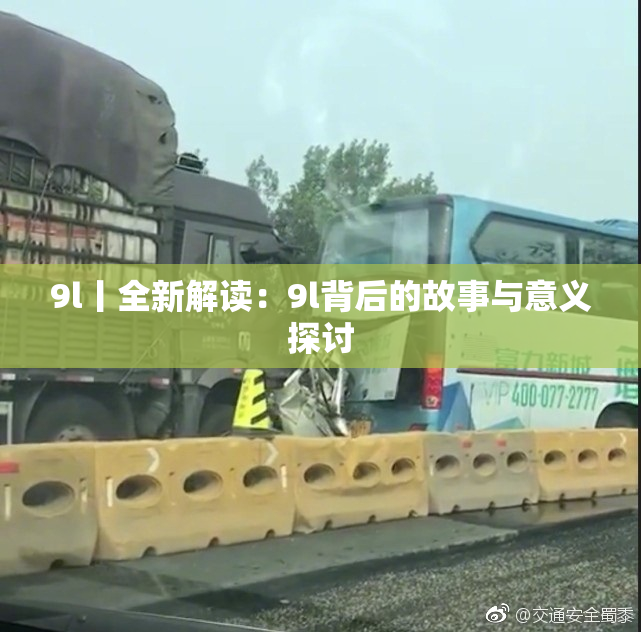 9l丨全新解读：9l背后的故事与意义探讨