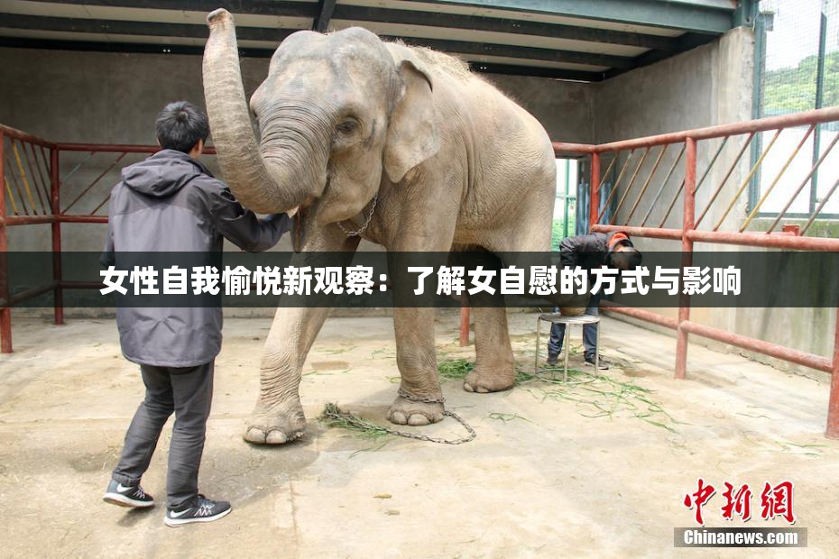 女性自我愉悦新观察：了解女自慰的方式与影响