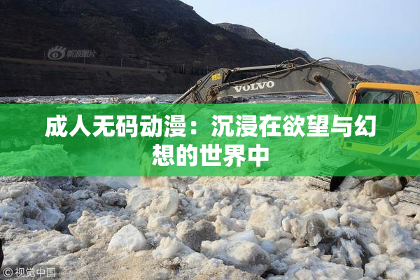 成人无码动漫：沉浸在欲望与幻想的世界中