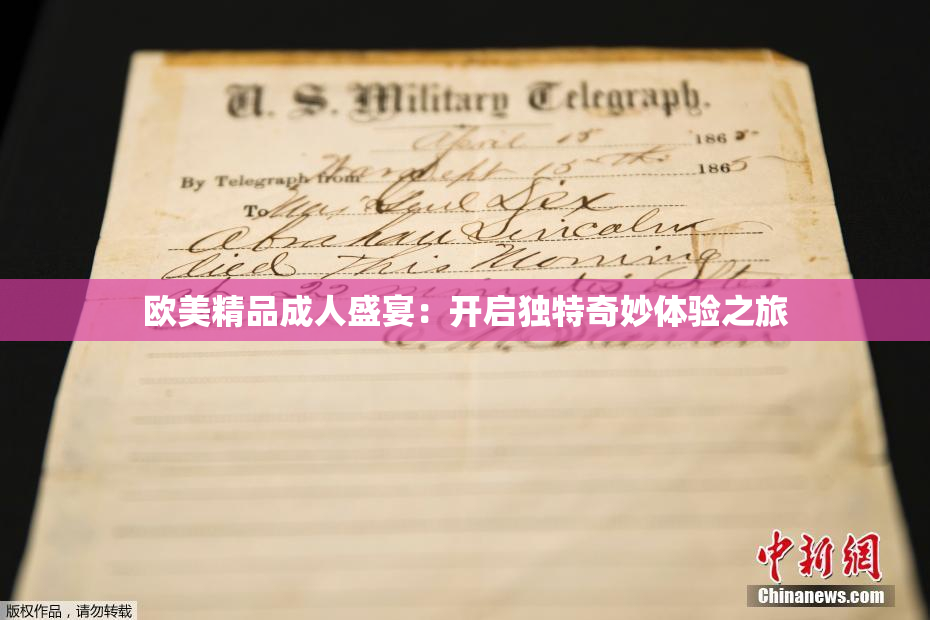 欧美精品成人盛宴：开启独特奇妙体验之旅