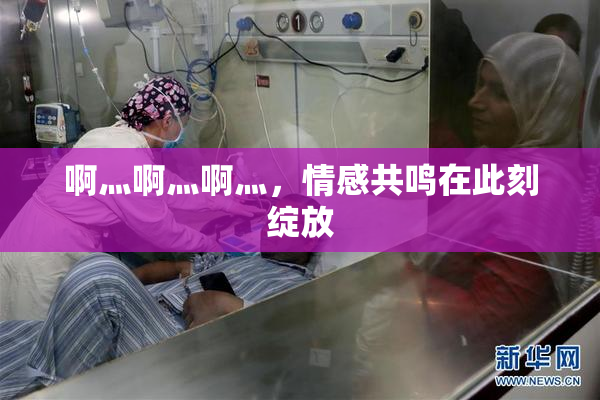 啊灬啊灬啊灬，情感共鸣在此刻绽放