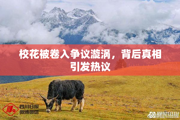 校花被卷入争议漩涡，背后真相引发热议